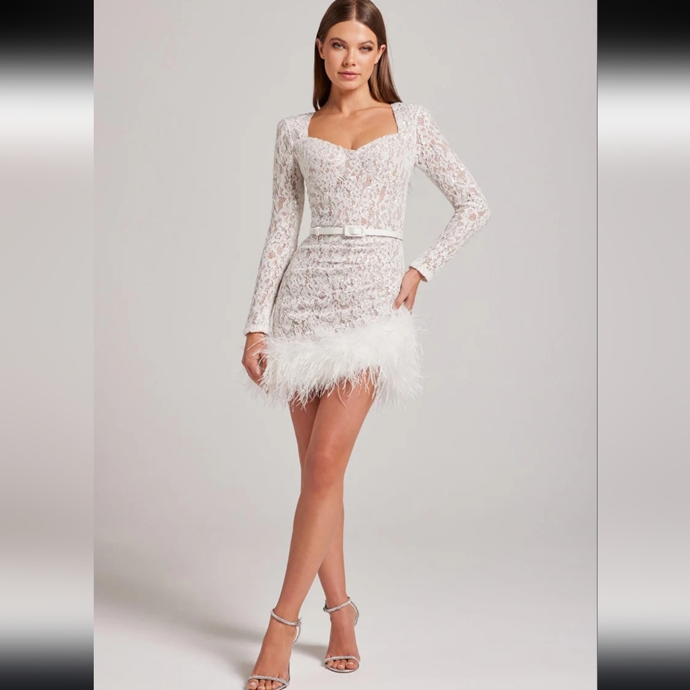 Nadine Merabi Carly Dress Size 14 NWT